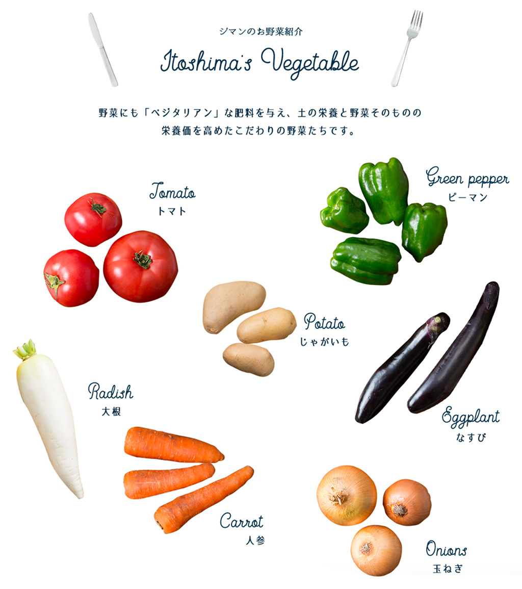 九州糸島産の採れたて新鮮野菜、ベジタリアンベジタブル exclusive