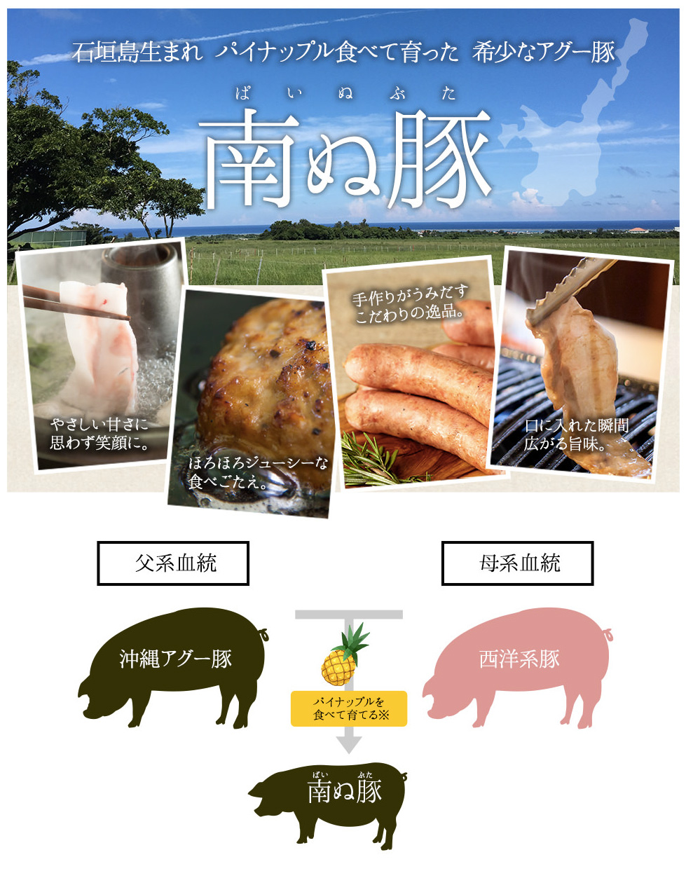 石垣島で循環型６次化農業を実践してこだわりの青果・精肉・加工品を提供する、やえやまファーム exclusive